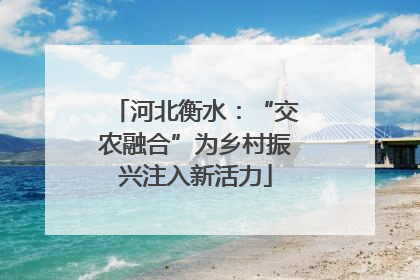 河北衡水：“交农融合”为乡村振兴注入新活力