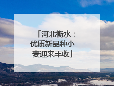 河北衡水：优质新品种小麦迎来丰收