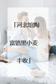 河北馆陶富铬黑小麦丰收