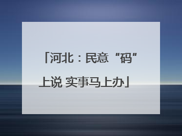 河北：民意“码”上说 实事马上办