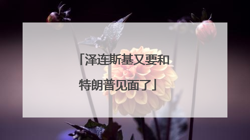 泽连斯基又要和特朗普见面了