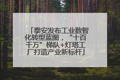 泰安发布工业数智化转型蓝图，“十百千万”梯队+灯塔工厂打造产业新标杆