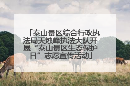 泰山景区综合行政执法局天烛峰执法大队开展“泰山景区生态保护日”志愿宣传活动