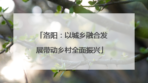 洛阳：以城乡融合发展带动乡村全面振兴