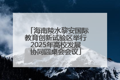 海南陵水黎安国际教育创新试验区举行2025年高校发展协同圆桌会会议
