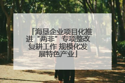 海垦企业项目化推进“两非”专项整改复耕工作 规模化发展特色产业