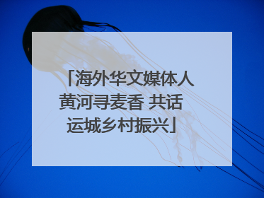海外华文媒体人黄河寻麦香 共话运城乡村振兴