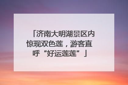 济南大明湖景区内惊现双色莲，游客直呼“好运莲莲”