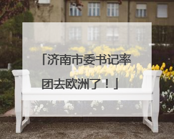 济南市委书记率团去欧洲了！