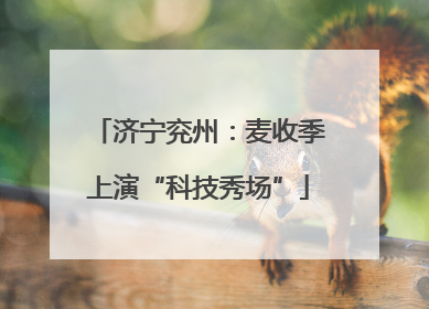 济宁兖州：麦收季上演“科技秀场”