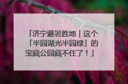 济宁避暑胜地｜这个「半园湖光半园绿」的宝藏公园藏不住了！