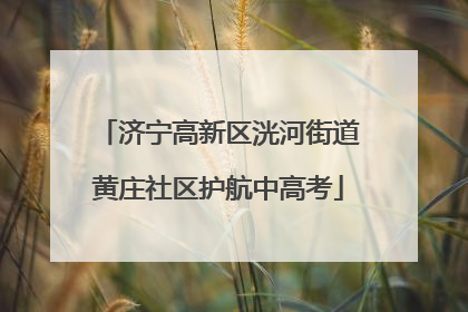 济宁高新区洸河街道黄庄社区护航中高考