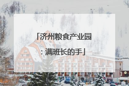 济州粮食产业园：满班长的手