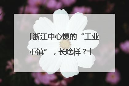 浙江中心镇的“工业重镇”，长啥样？