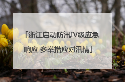 浙江启动防汛Ⅳ级应急响应 多举措应对汛情