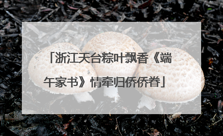浙江天台粽叶飘香《端午家书》情牵归侨侨眷