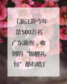 浙江迎今年第500万名广东旅客，收到的“锦鲤礼包”都有啥