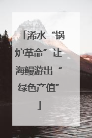 浠水“锅炉革命”让海鳗游出“绿色产值”