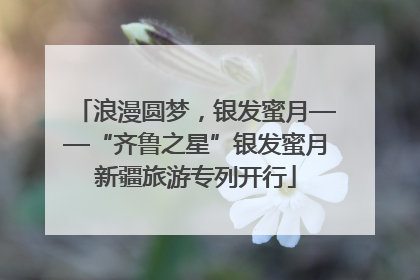 浪漫圆梦，银发蜜月——“齐鲁之星”银发蜜月新疆旅游专列开行