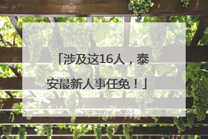 涉及这16人，泰安最新人事任免！