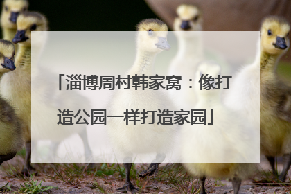 淄博周村韩家窝：像打造公园一样打造家园
