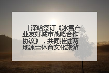 深哈签订《冰雪产业友好城市战略合作协议》，共同推进两地冰雪体育文化旅游高质量发展