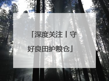 深度关注丨守好良田护粮仓