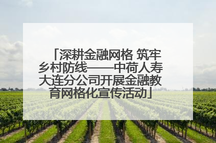 深耕金融网格 筑牢乡村防线——中荷人寿大连分公司开展金融教育网格化宣传活动