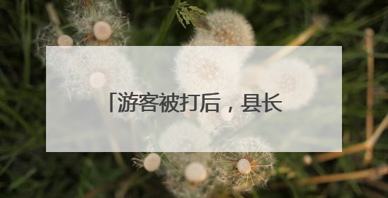 游客被打后，县长开会，全县整治！