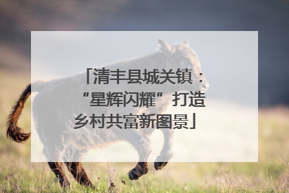 清丰县城关镇：“星辉闪耀”打造乡村共富新图景