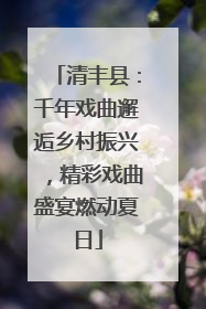清丰县：千年戏曲邂逅乡村振兴，精彩戏曲盛宴燃动夏日