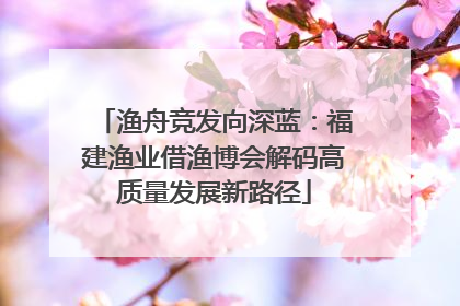 渔舟竞发向深蓝：福建渔业借渔博会解码高质量发展新路径