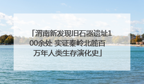 渭南新发现旧石器遗址100余处 实证秦岭北麓百万年人类生存演化史