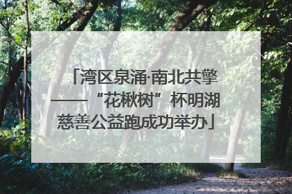 湾区泉涌·南北共擎——“花楸树”杯明湖慈善公益跑成功举办