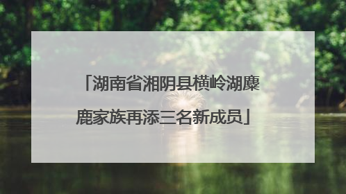 湖南省湘阴县横岭湖麋鹿家族再添三名新成员