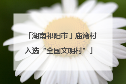 湖南祁阳市丁庙湾村入选“全国文明村”