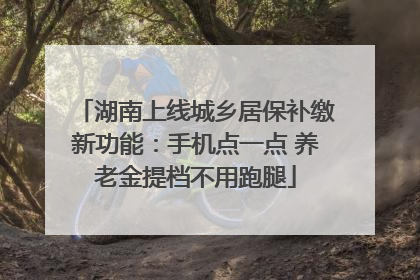 湖南上线城乡居保补缴新功能：手机点一点 养老金提档不用跑腿