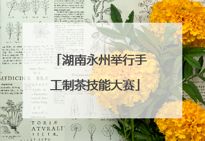 湖南永州举行手工制茶技能大赛