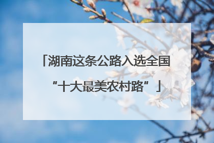 湖南这条公路入选全国“十大最美农村路”