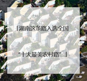 湖南这条路入选全国“十大最美农村路”