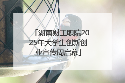 湖南财工职院2025年大学生创新创业宣传周启幕