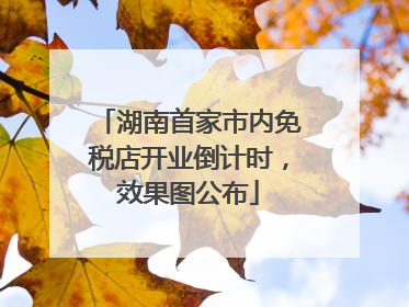 湖南首家市内免税店开业倒计时，效果图公布