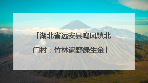 湖北省远安县鸣凤镇北门村：竹林遍野绿生金