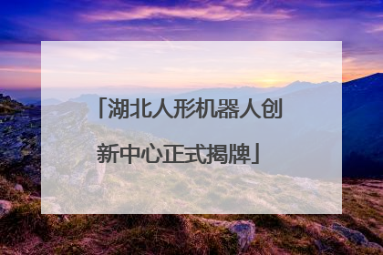 湖北人形机器人创新中心正式揭牌