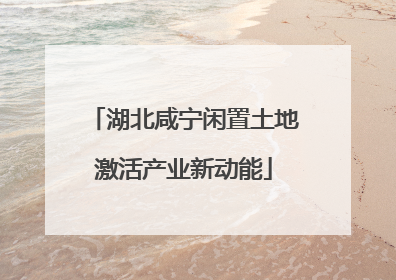 湖北咸宁闲置土地激活产业新动能