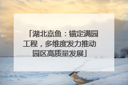 湖北嘉鱼：锚定满园工程，多维度发力推动园区高质量发展