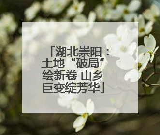湖北崇阳：土地“破局”绘新卷 山乡巨变绽芳华