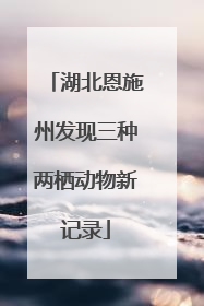 湖北恩施州发现三种两栖动物新记录