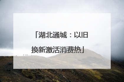 湖北通城：以旧换新激活消费热