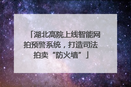 湖北高院上线智能网拍预警系统，打造司法拍卖“防火墙”